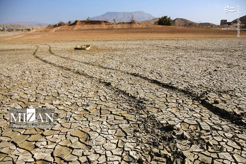عکس / خشکسالی بند عبدل آباد و مرگ هزاران ماهی 9