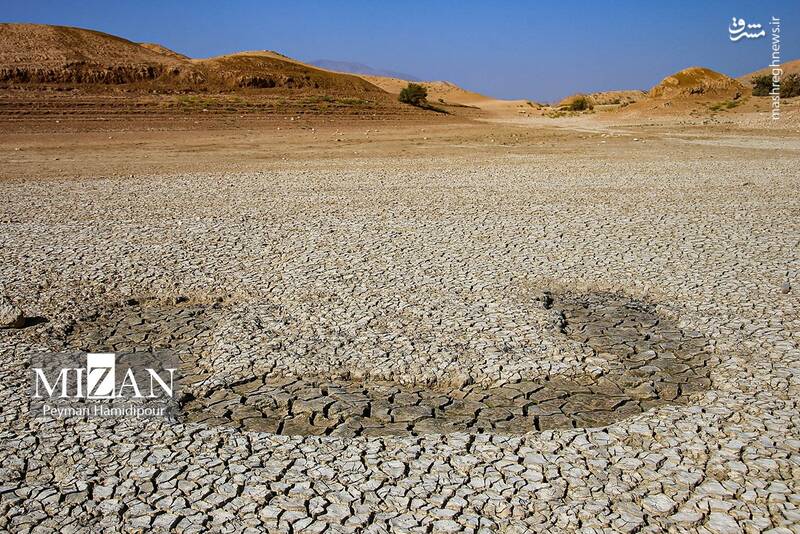 عکس / خشکسالی بند عبدل آباد و مرگ هزاران ماهی 8