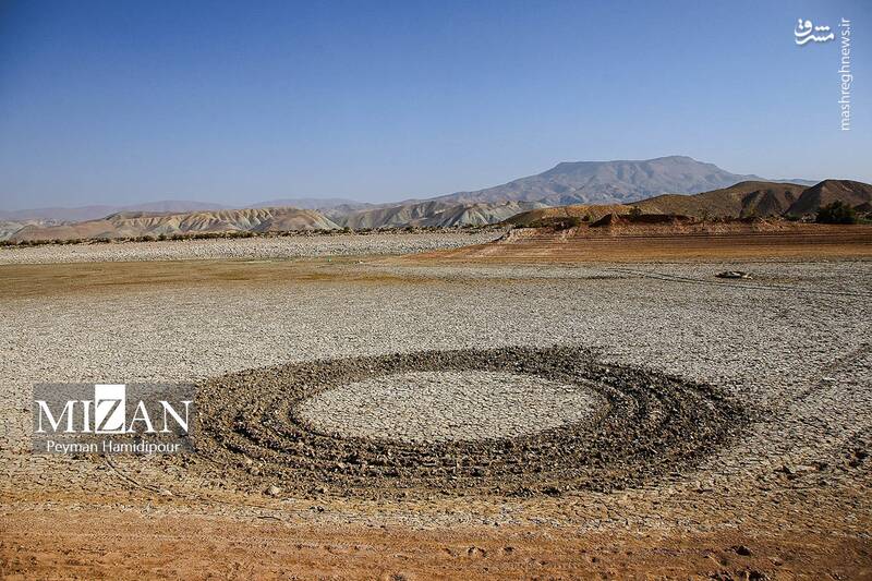 عکس / خشکسالی بند عبدل آباد و مرگ هزاران ماهی 6