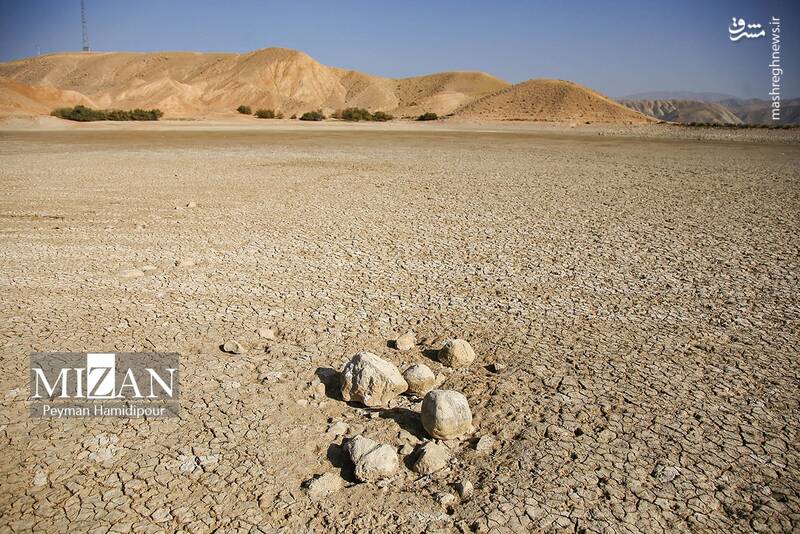 عکس / خشکسالی بند عبدل آباد و مرگ هزاران ماهی 5
