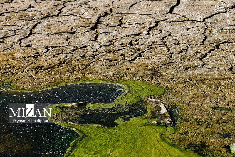 عکس / خشکسالی بند عبدل آباد و مرگ هزاران ماهی 2