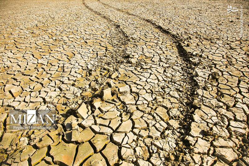 عکس / خشکسالی بند عبدل آباد و مرگ هزاران ماهی