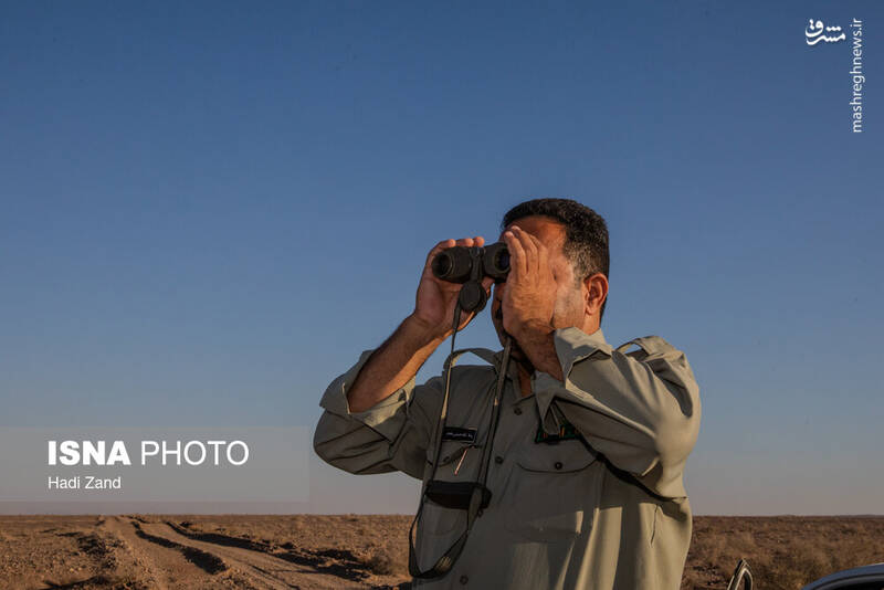عکس / پارک ملی کویر؛ امید گور ایرانی 4