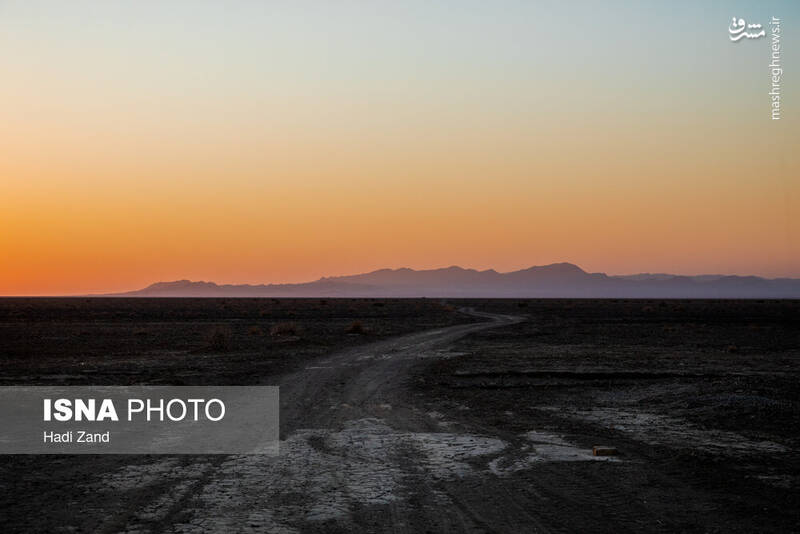 عکس / پارک ملی کویر؛ امید گور ایرانی 18