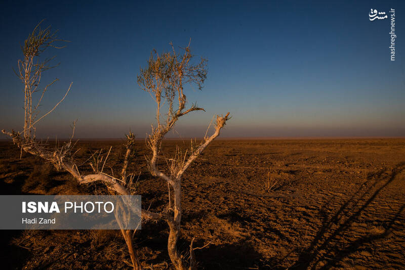 عکس / پارک ملی کویر؛ امید گور ایرانی 15