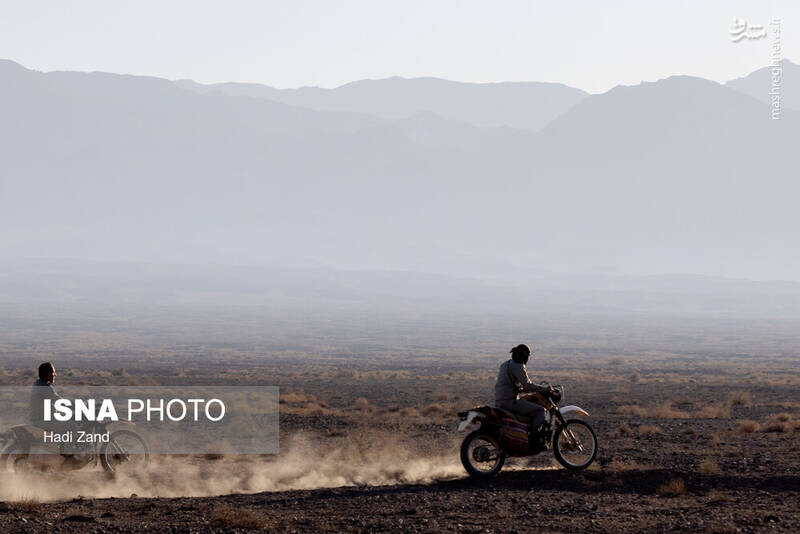 عکس / پارک ملی کویر؛ امید گور ایرانی 14