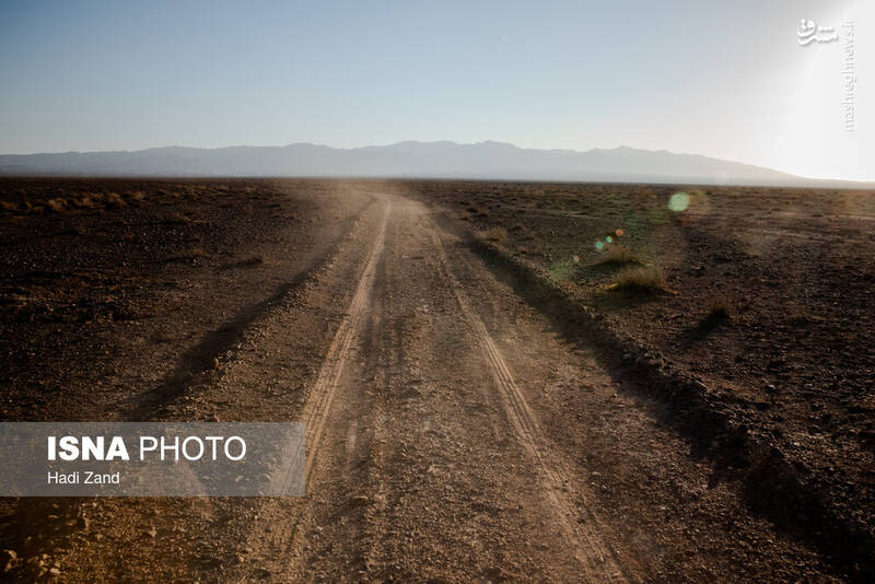 عکس / پارک ملی کویر؛ امید گور ایرانی 13