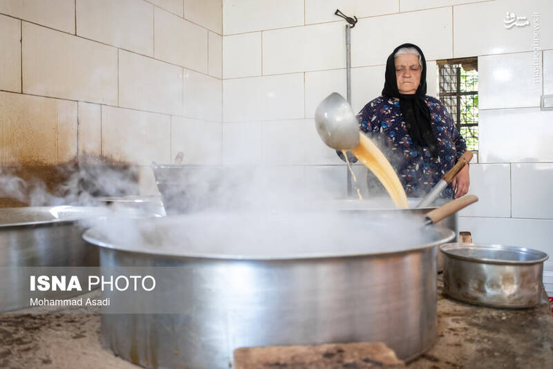 عکس / فصل انگور در "هزاوه" 23