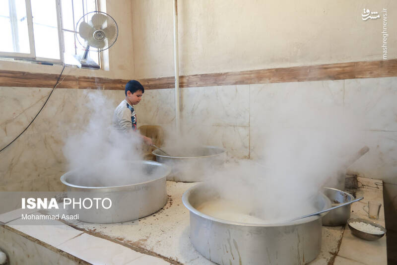 عکس / فصل انگور در "هزاوه" 22