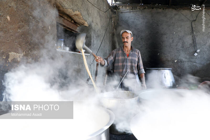 عکس / فصل انگور در "هزاوه" 21