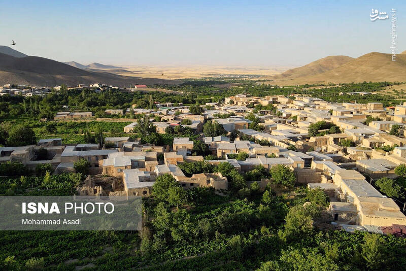 عکس / فصل انگور در "هزاوه" 2