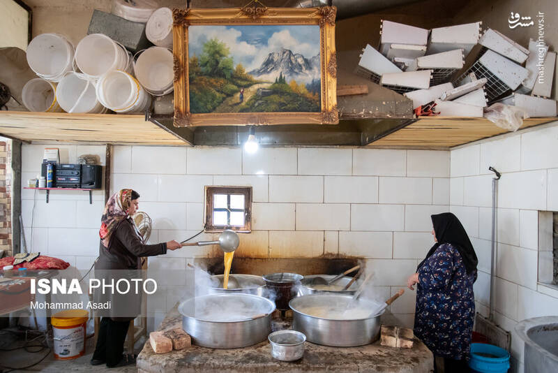 عکس / فصل انگور در "هزاوه" 20