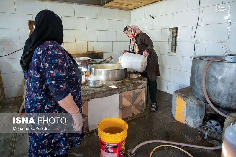 عکس / فصل انگور در "هزاوه" 17