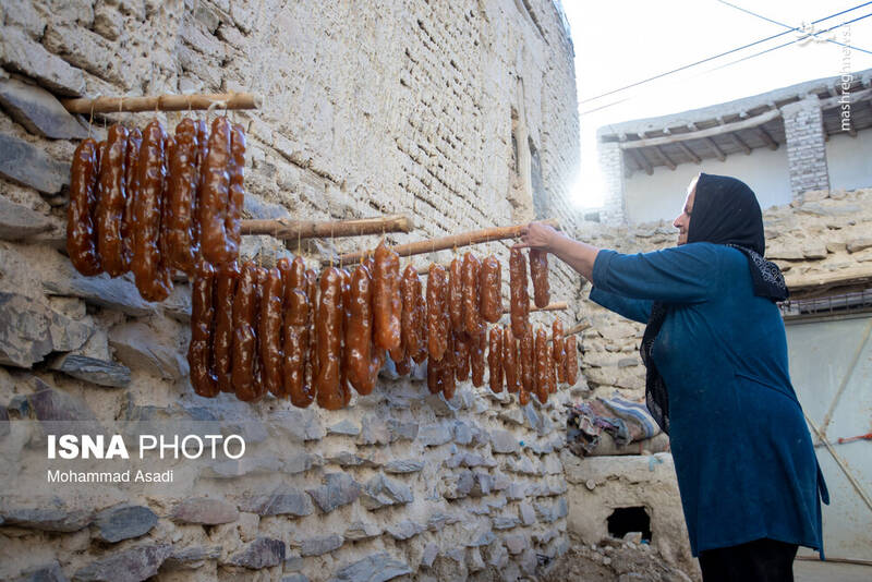 عکس / فصل انگور در "هزاوه" 15
