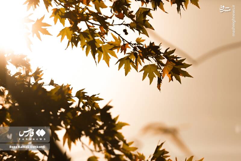 عکس / رقص رنگ‌ها بر بام زاگرس 15