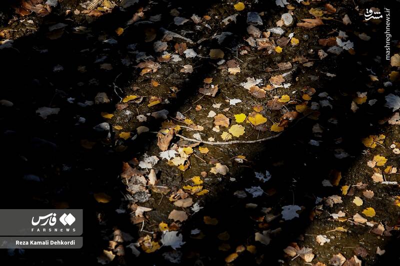 عکس / رقص رنگها بر بام زاگرس 10