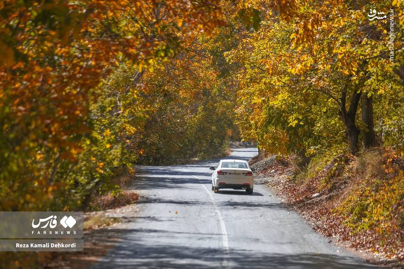 عکس / رقص رنگها بر بام زاگرس 17