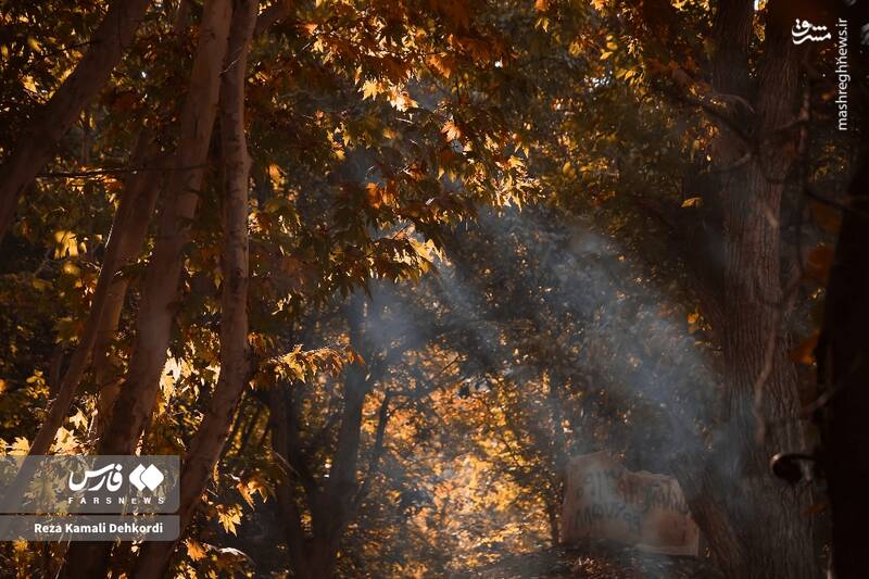 عکس / رقص رنگها بر بام زاگرس 14