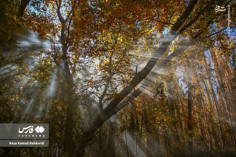 عکس / رقص رنگها بر بام زاگرس 13