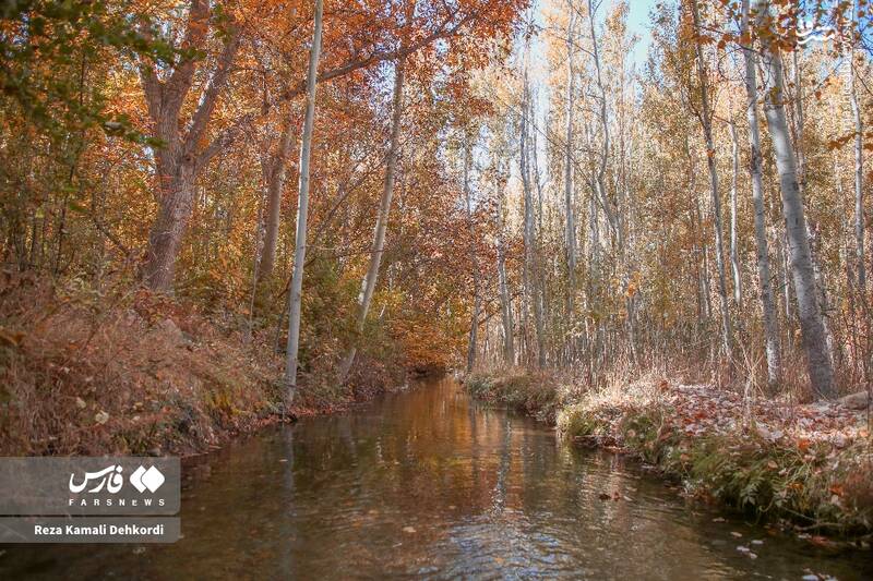 عکس / رقص رنگها بر بام زاگرس 12