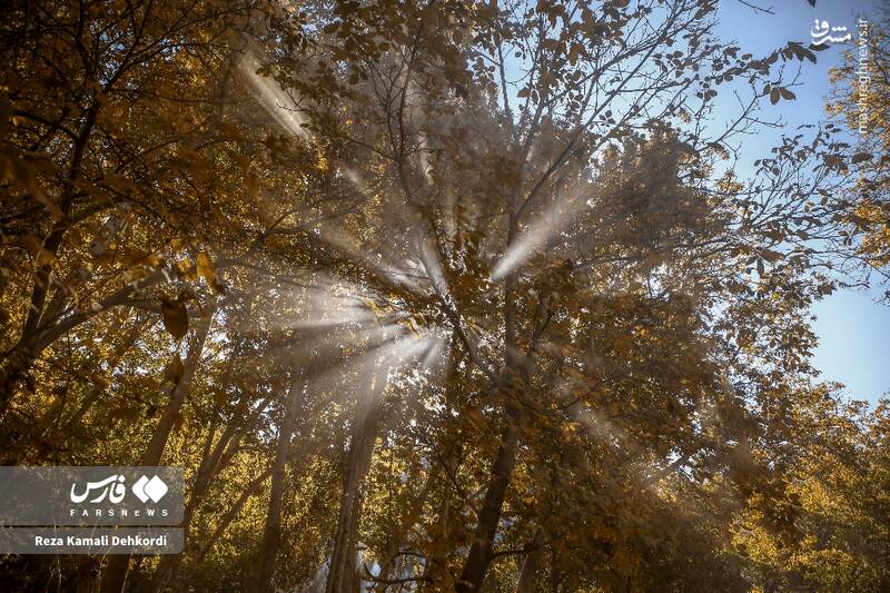 عکس / رقص رنگ‌ها بر بام زاگرس 9