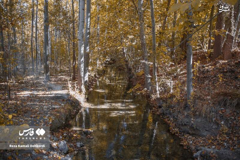 عکس / رقص رنگ‌ها بر بام زاگرس 8