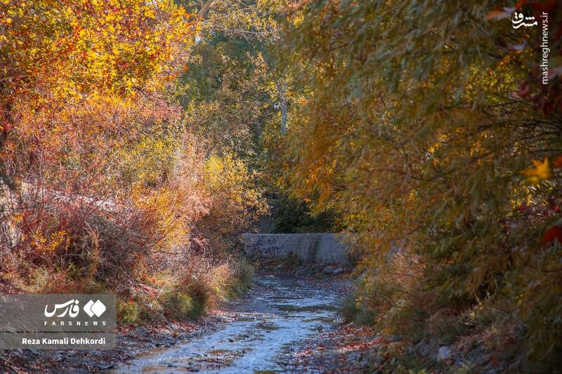 عکس / رقص رنگها بر بام زاگرس 6