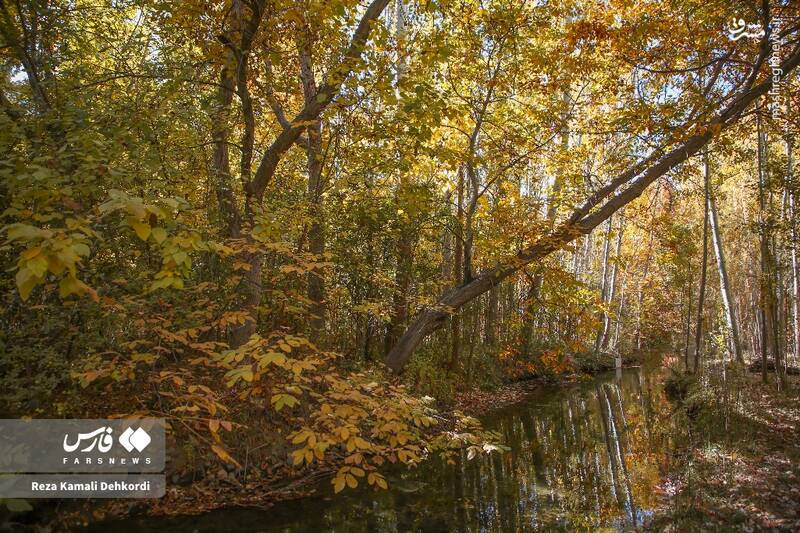 عکس / رقص رنگ‌ها بر بام زاگرس 5