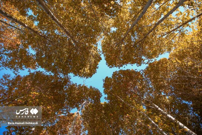 عکس / رقص رنگ‌ها بر بام زاگرس 2