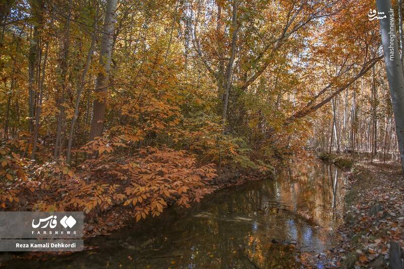 عکس / رقص رنگ‌ها بر بام زاگرس