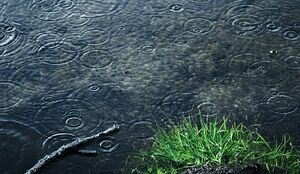 بارش باران و کاهش دما در برخی استانها