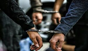 فیلم / دستگیری بیش از هزار شرور در غرب تهران