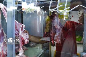 قیمت انواع گوشت منجمد گو و گوندی اعلام شد