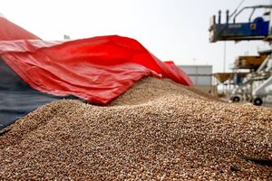 فیلم / متخلفان نبود نهاده‌های دامی در انتظار مجازات