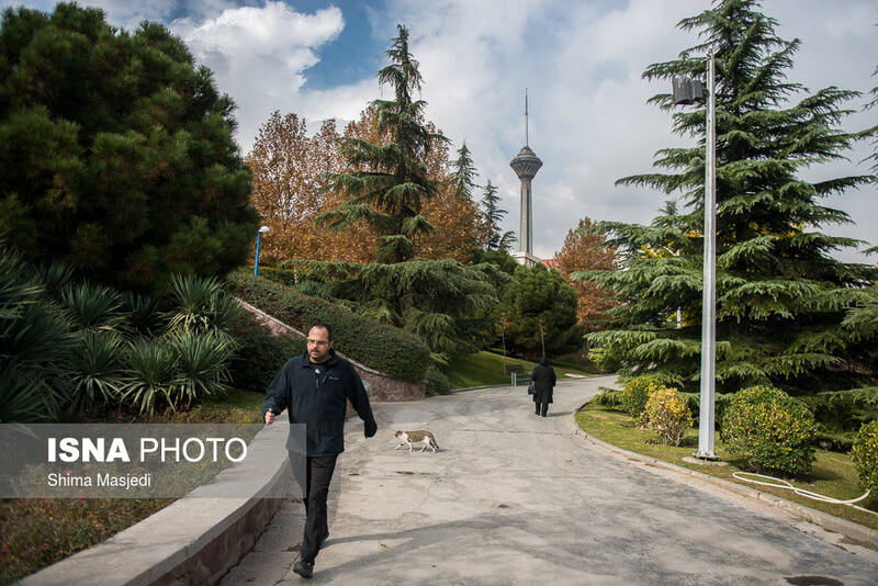 هوا،ناسالم،روز