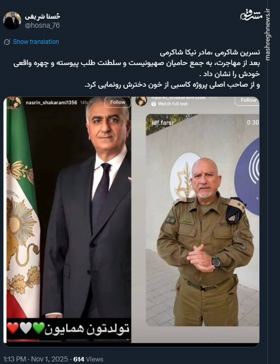 رونمایی از صاحب اصلی پروژه کاسبی از خون نیکا شاکرمی