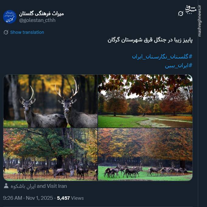 پاییز زیبا در جنگل قرق گرگان