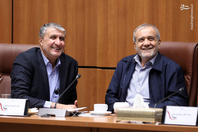 عکس / حضور رئیس جمهور در سازمان انرژی اتمی 10