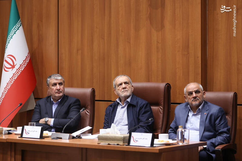 عکس / حضور رئیس جمهور در سازمان انرژی اتمی 11