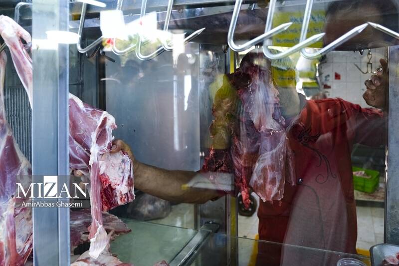 كيلويي،منجمد