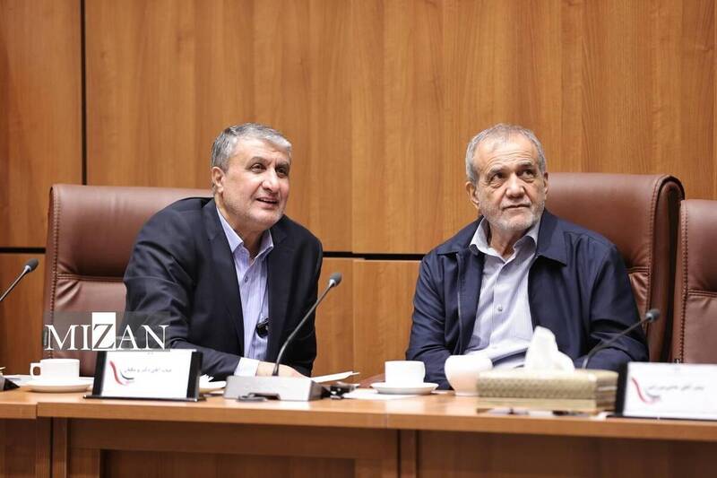 اتمي،انرژي،سازمان،كشور،احداث،نيروگاه،صنعت،برق،رئيس،فناوري،طر ...