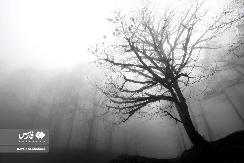 عکس / مسیر رویایی خلخال به اسالم 21