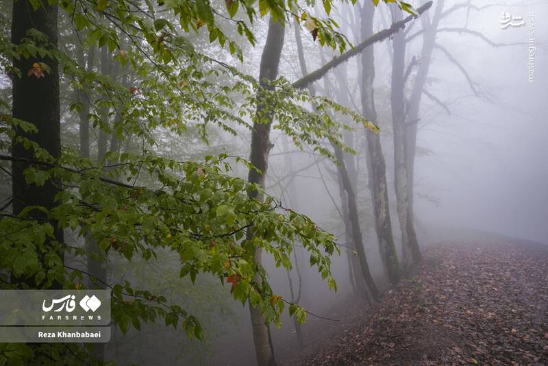 عکس / مسیر رویایی خلخال به اسالم 26