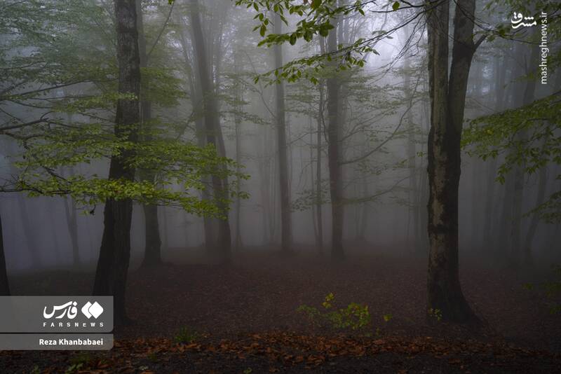 عکس / مسیر رویایی خلخال به اسالم 20