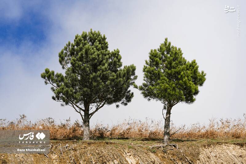 عکس / مسیر رویایی خلخال به اسالم 19