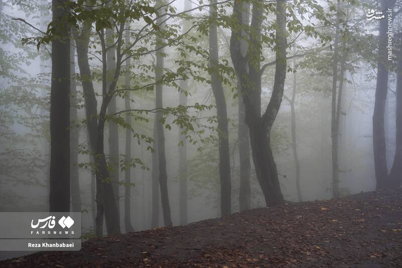 عکس / مسیر رویایی خلخال به اسالم 18