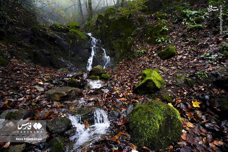 عکس / مسیر رویایی خلخال به اسالم 17