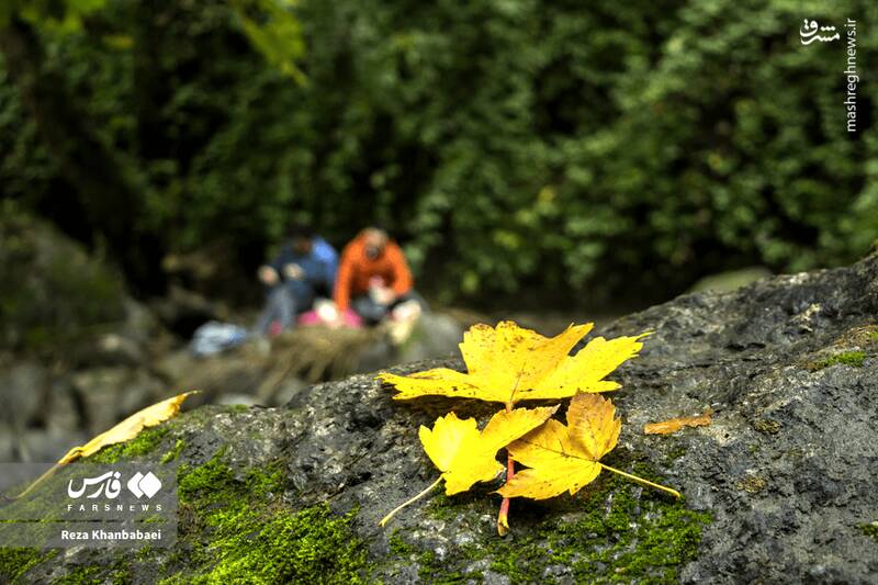 عکس / مسیر رویایی خلخال به اسالم 14