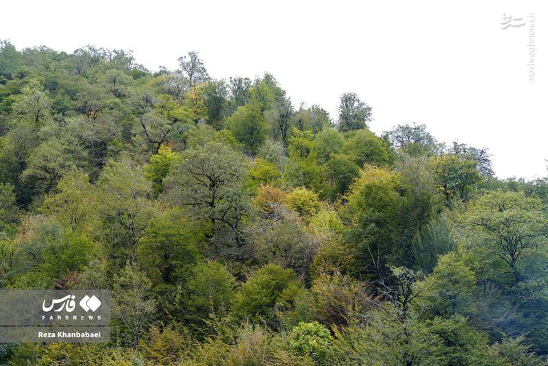 عکس / مسیر رویایی خلخال به اسالم 12