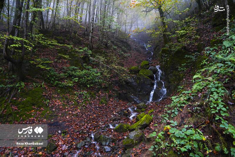عکس / مسیر رویایی خلخال به اسالم 11